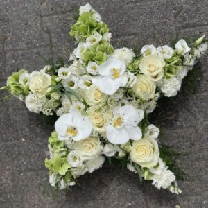 Etoile blanche DOUCEUR